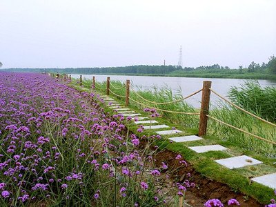 t019023f9982021b0fd.jpg